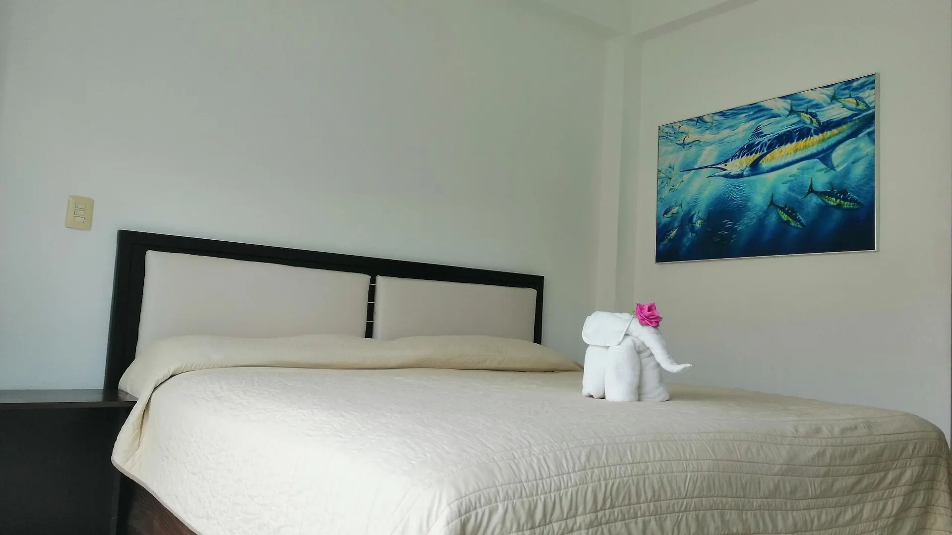 Hotel Plaza Playa Playa del Carmen
